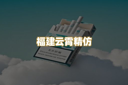 福建云霄精仿